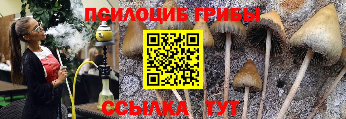 Галлюциногенные грибы MAGIC MUSHROOMS Элиста